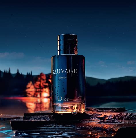 sauvage by christian Dior